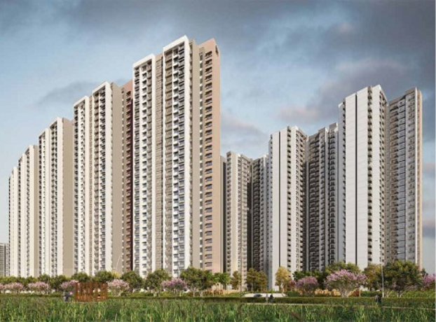 Southern Star Card Image