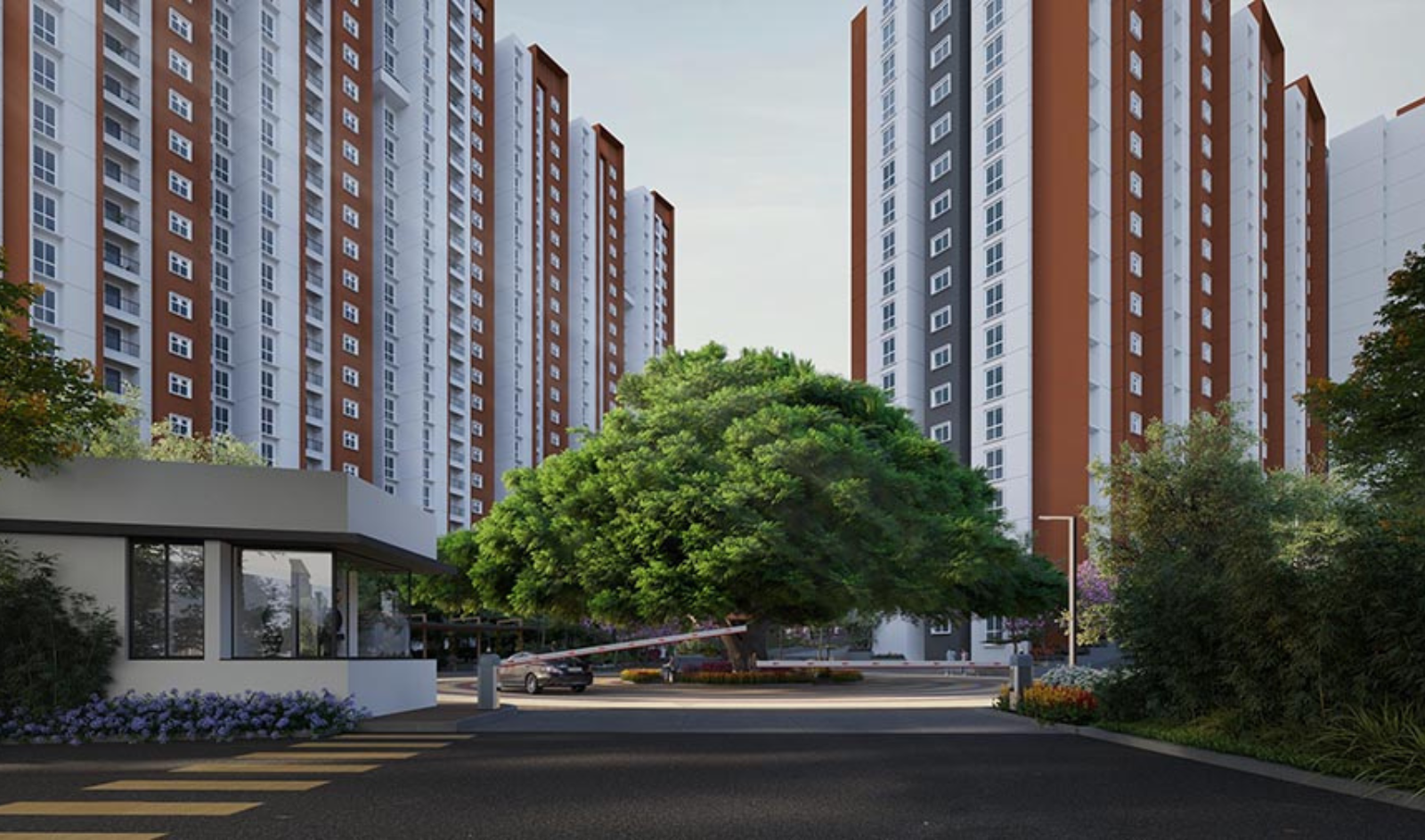 Provident Botanico Banner