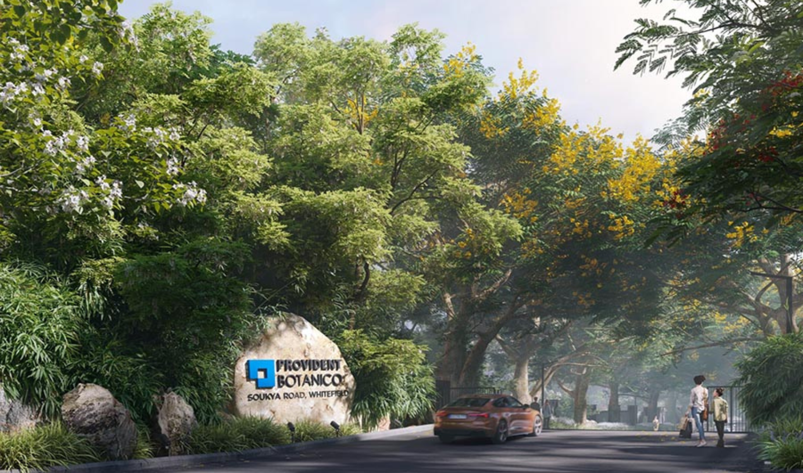 Provident Botanico Video