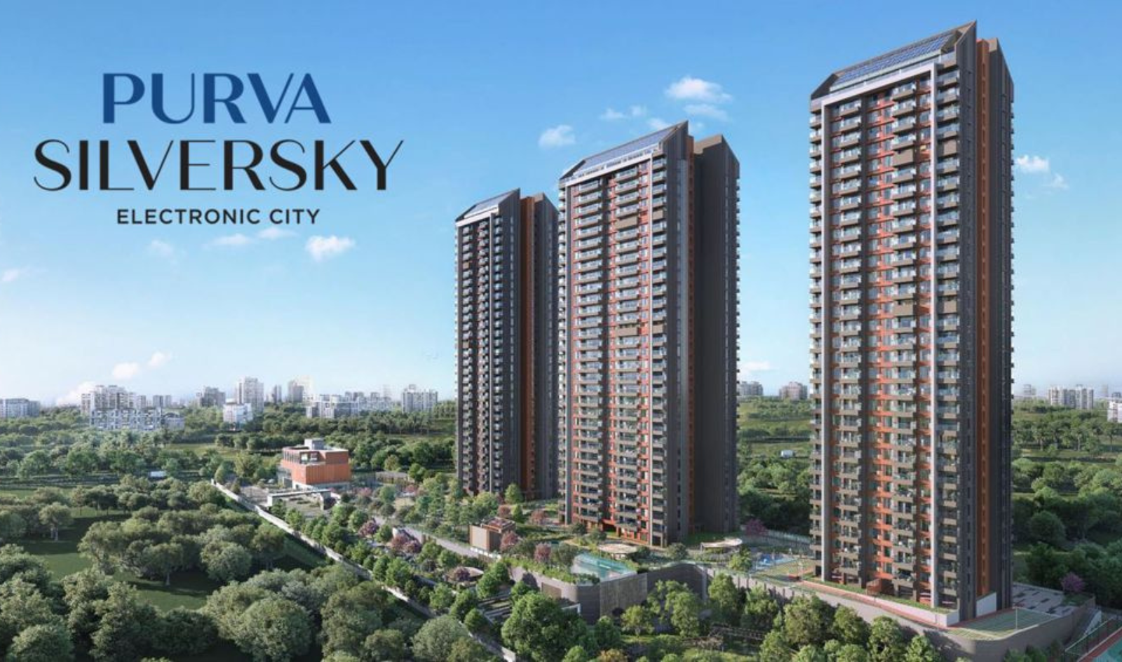 Purva Silver sky  Banner