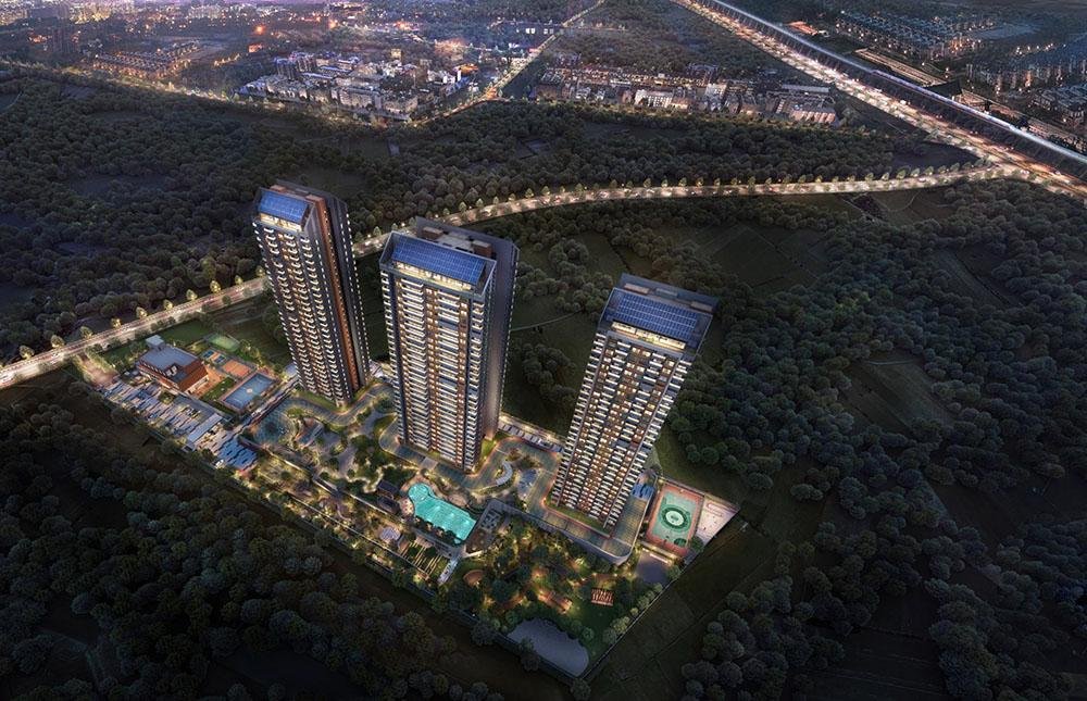 Purva Silver sky  Gallery