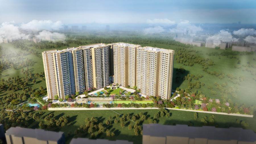 Keya The Urban Forest  Gallery