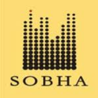 Developer Logo