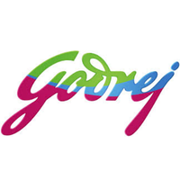 Developer Logo