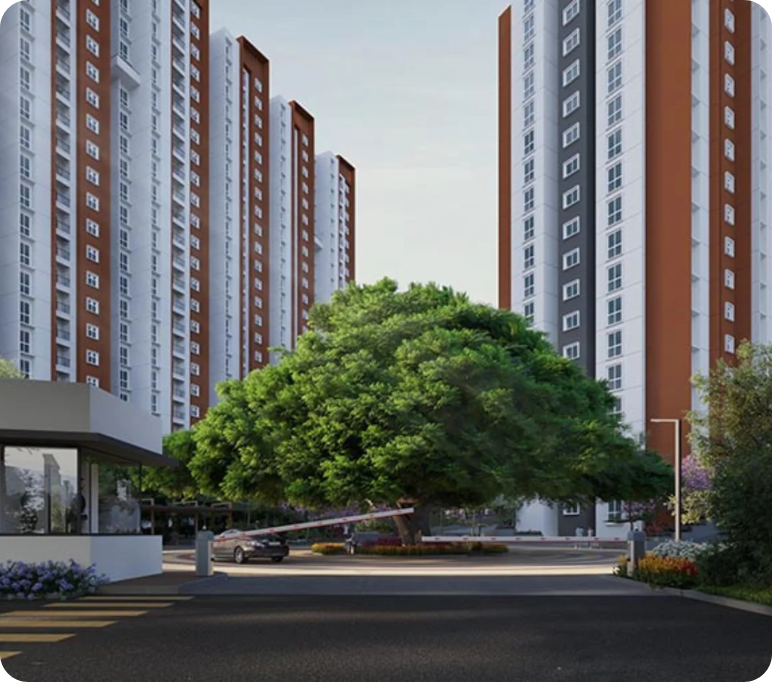 Provident Botanico Project Image